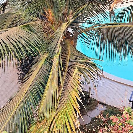 Sal Service Leme Bedje Residence Santa Maria Bagian luar foto